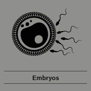 Grey Embryos