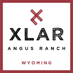 XLAR Logo